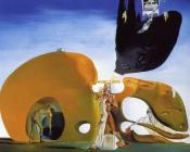 萨尔瓦多 达利 : 液体欲望的诞生